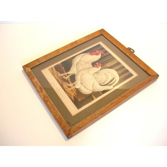 Rooster and Hen Antique Print Framed Miss Fairhurst's Pair of White Dorkings - Picture 4 of 4